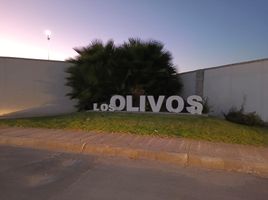  Grundstück zu verkaufen in Torreon, Coahuila, Torreon