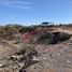 Terrain à vendre à Hermosillo, Sonora, Hermosillo