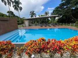 Estudio Apartamento en venta en Pereira, Risaralda, Pereira