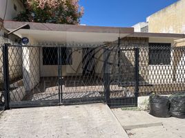 152 SqM Office for rent in Nuevo Leon, Monterrey, Nuevo Leon