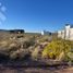  Land for sale in Picun Leufu, Neuquen, Picun Leufu