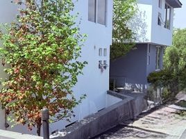 4 Schlafzimmer Haus zu verkaufen in Alvaro Obregon, Mexico City, Alvaro Obregon