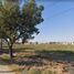  Land for sale in Zapopan, Jalisco, Zapopan, Jalisco