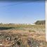  Land for sale in Zapopan, Jalisco, Zapopan, Jalisco