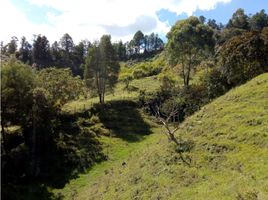  Grundstück zu verkaufen in Marinilla, Antioquia, Marinilla, Antioquia, Kolumbien