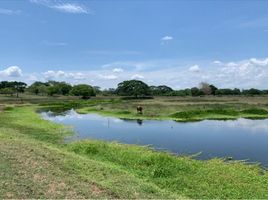  Land for sale in Santa Rosa, Bolivar, Santa Rosa