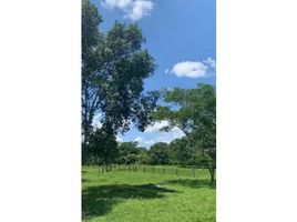  Land for sale in Santa Rosa, Bolivar, Santa Rosa