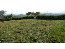  Terreno (Parcela) en venta en Caldas, Risaralda, Caldas