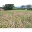  Land for sale in Caldas, Risaralda, Caldas