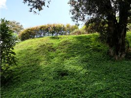  Terrain for sale in La Vega, Cundinamarca, La Vega