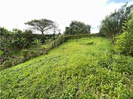  Land for sale in Pereira, Risaralda, Pereira