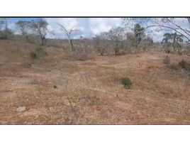  Land for sale in Bolivar, Cartagena, Bolivar