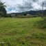  Land for sale in Marinilla, Antioquia, Marinilla