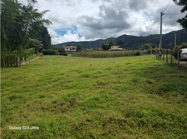  Land for sale in Marinilla, Antioquia, Marinilla