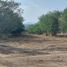  Land for sale in San Fernando, Tamaulipas, San Fernando