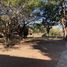  Land for sale in San Fernando, Tamaulipas, San Fernando