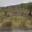  Land for sale in Teocuitatlan De Corona, Jalisco, Teocuitatlan De Corona