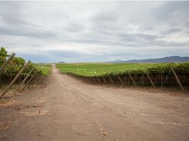 Estudio Villa en venta en Ecuador, Salinas, Salinas, Santa Elena, Ecuador