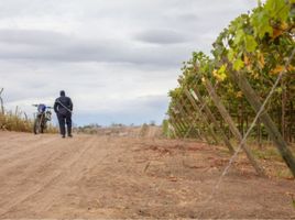 Studio Haus zu verkaufen in Salinas, Santa Elena, Salinas