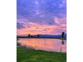  Terreno (Parcela) en venta en Ameca, Jalisco, Ameca