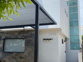 3 Bedroom House for rent in Culiacan, Sinaloa, Culiacan
