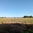  Terreno (Parcela) en venta en Carmen, Campeche, Carmen, Campeche