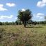  Terreno (Parcela) en venta en Carmen, Campeche, Carmen, Campeche