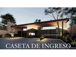  Land for sale in Sahuayo, Michoacan, Sahuayo