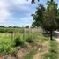  Land for sale in Axochiapan, Morelos, Axochiapan