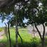  Land for sale in Axochiapan, Morelos, Axochiapan