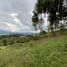  Grundstück zu verkaufen in La Ceja, Antioquia, La Ceja