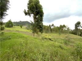 Terrain à vendre à La Ceja, Antioquia, La Ceja, Antioquia