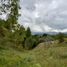Terrain à vendre à La Ceja, Antioquia, La Ceja, Antioquia