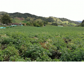 Estudio Casa en venta en La Union De Sucre, Antioquia, La Union De Sucre