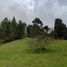  Land for sale in Envigado, Antioquia, Envigado