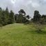  Land for sale in Envigado, Antioquia, Envigado