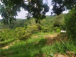  Terreno (Parcela) en venta en La Mesa, Cundinamarca, La Mesa