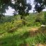  Land for sale in La Mesa Cundinamarca, La Mesa