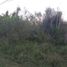  Terreno (Parcela) en venta en Pesqueria, Nuevo León, Pesqueria