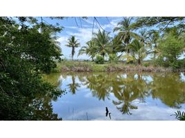  Land for sale in Magdalena, Santa Marta, Magdalena