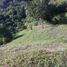  Land for sale in Anapoima, Cundinamarca, Anapoima