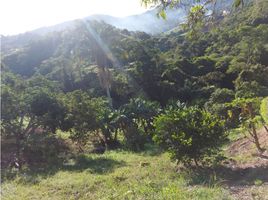  Terrain for sale in Anapoima, Cundinamarca, Anapoima