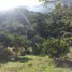  Land for sale in Anapoima Cundinamarca, Anapoima, Cundinamarca