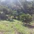  Land for sale in Anapoima, Cundinamarca, Anapoima