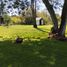 5 Bedroom House for sale in Nuble, Chillan, Diguillin, Nuble
