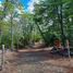  Land for sale in Nuble, Pinto, Diguillin, Nuble