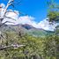  Land for sale in Nuble, Pinto, Diguillin, Nuble