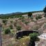  Land for sale in Maule, San Javier, Linares, Maule
