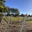  Land for sale in Nuble, Chillan, Diguillin, Nuble