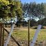  Land for sale in Nuble, Chillan, Diguillin, Nuble